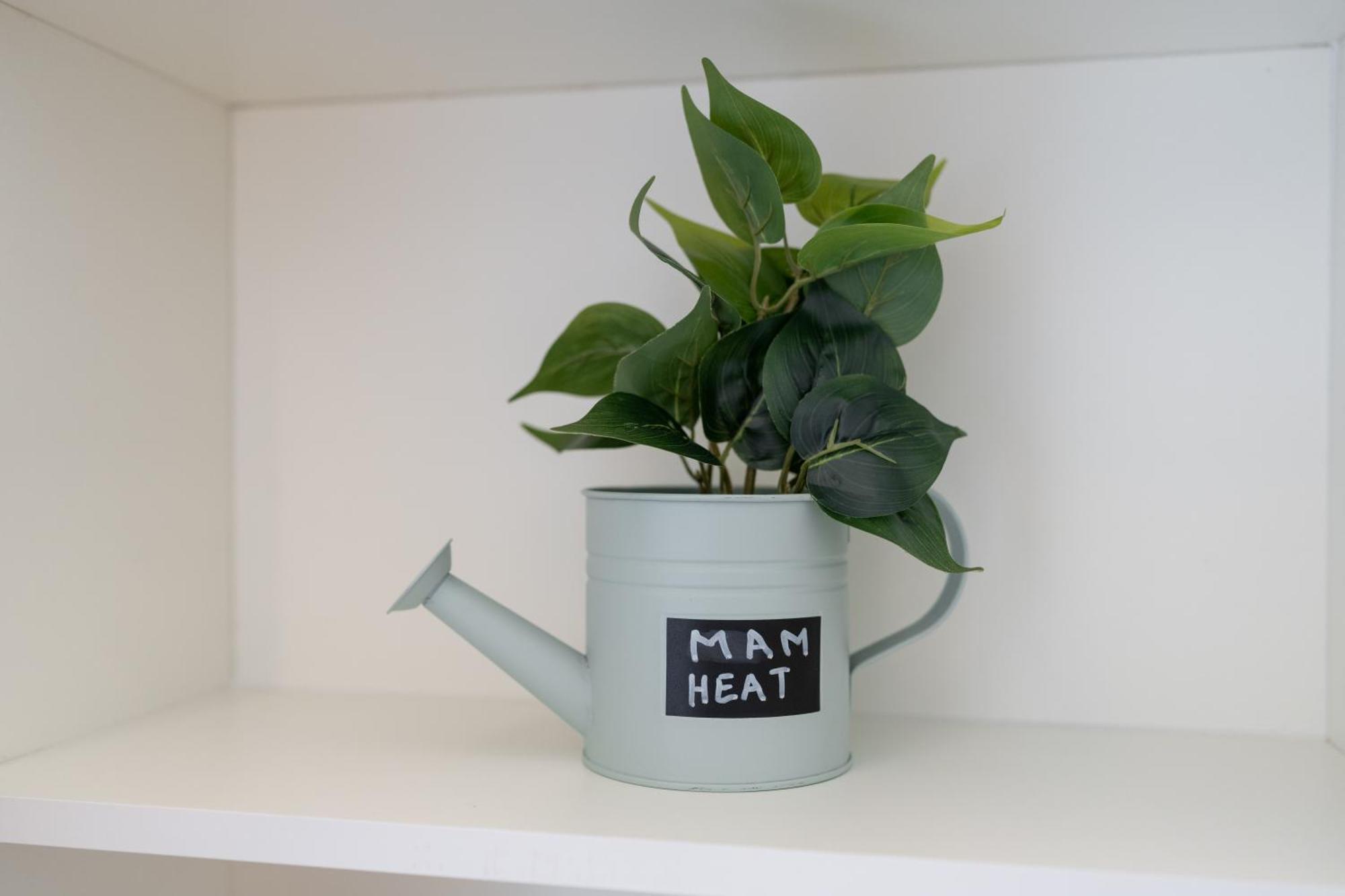 Mam Heat Apartments - Viana City Centre Viana do Castelo Eksteriør bilde
